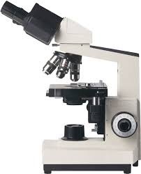 binocular microscope